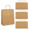 Discount ⌛ 10 1/2" x 5 1/4" x 13" Large Brown Kraft Paper Gift Bags - 12 Pc. 🥰
